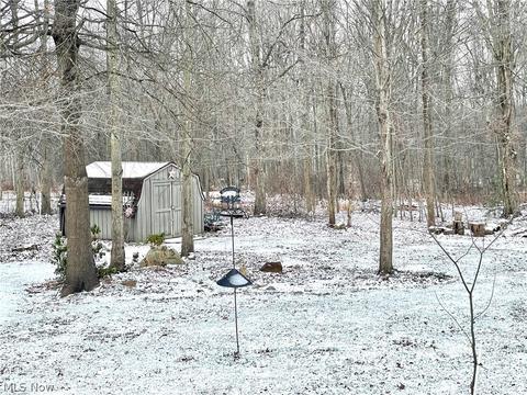 8670 Freedom Rd, Windham, OH 44288 photo 31