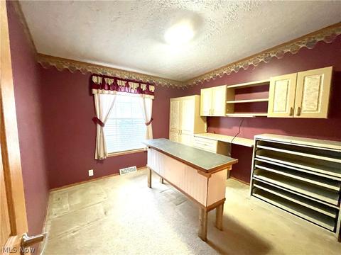 8670 Freedom Rd, Windham, OH 44288 photo 19