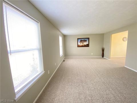 163 County Road 681, Sullivan, OH 44880 photo 5
