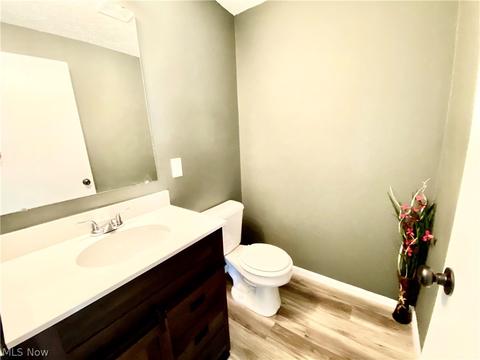 163 County Road 681, Sullivan, OH 44880 photo 12