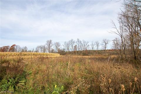 454 County Road 40, Sullivan, OH 44880 photo 25