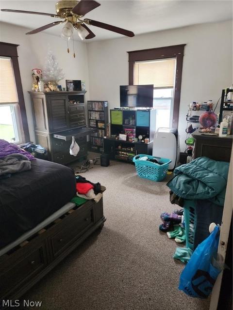 156 Park Ave, Struthers, OH 44471 photo 21