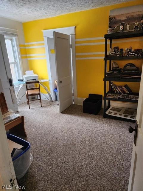 156 Park Ave, Struthers, OH 44471 photo 19