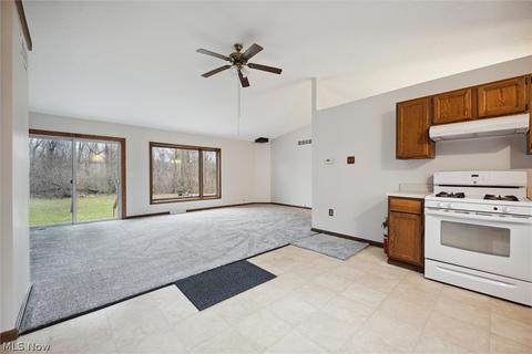 1038 E 21st St, Ashtabula, OH 44004 photo 13