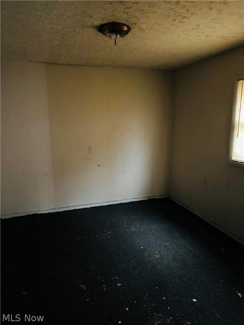 1311 E 36th Ave, Lorain, OH 44055 photo 5