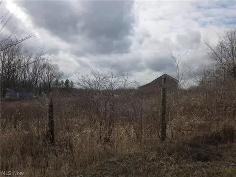 V/l Alliance Road, Deerfield, OH 44411
