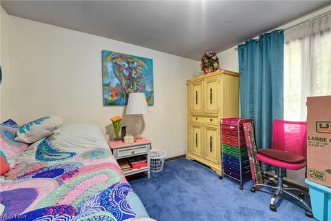 349 Hamilton Cir, Elyria, OH 44035 photo 27