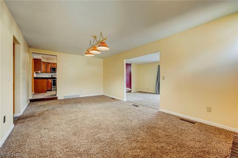 168 Timberlane Dr, Elyria, OH 44035 photo 14