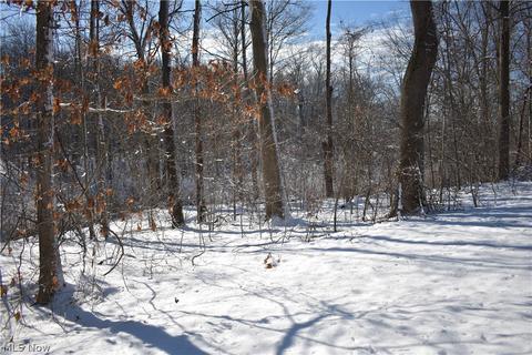 1836 Carson Rd, Ashtabula, OH 44004 photo 3
