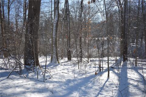1836 Carson Rd, Ashtabula, OH 44004 photo 9