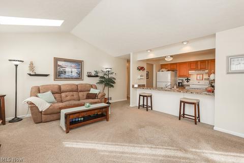 318 Sandpiper Ave, Elyria, OH 44035 photo 6