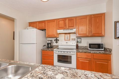 318 Sandpiper Ave, Elyria, OH 44035 photo 4