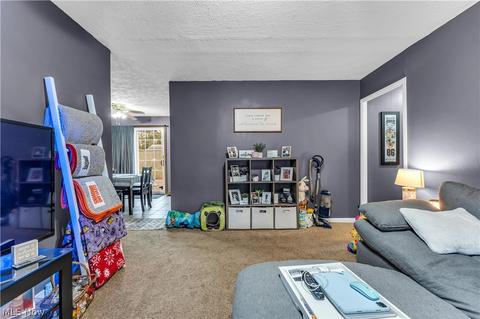 600 Denison Ave, Elyria, OH 44035 photo 8