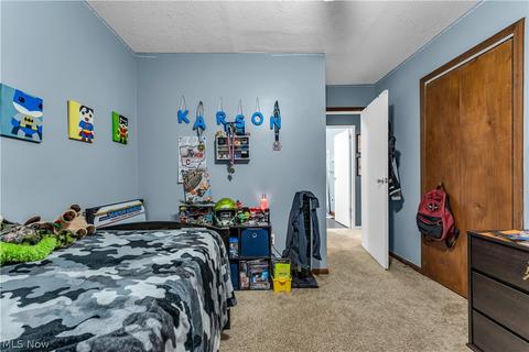 600 Denison Ave, Elyria, OH 44035 photo 16