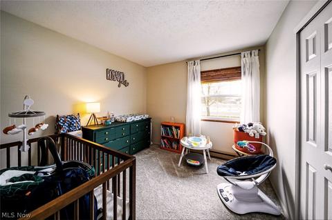 9911 Belden Dr, Windham, OH 44288 photo 14