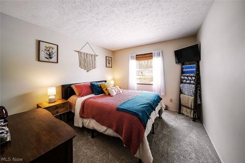 9911 Belden Dr, Windham, OH 44288 photo 12