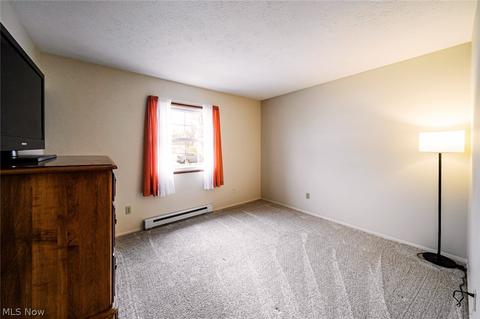 9911 Belden Dr, Windham, OH 44288 photo 17