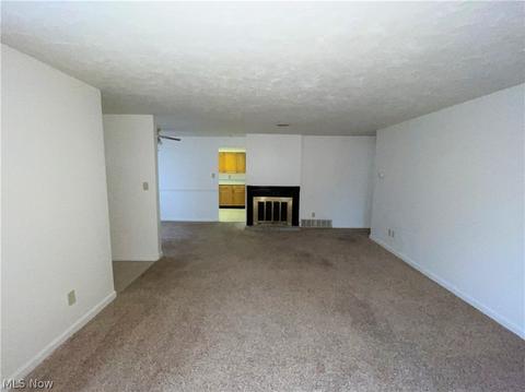 1015 Reeve Rd, Elyria, OH 44035 photo 9