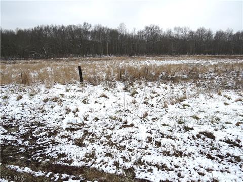 4121 Ruby Rd NW, Carrollton, OH 44615 photo 10