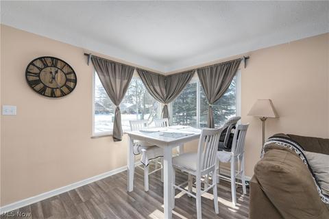 243 Mapleview Dr, Seven Hills, OH 44131 photo 8
