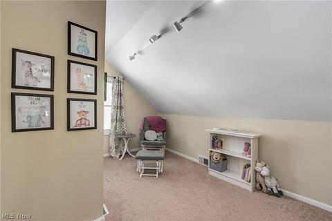 243 Mapleview Dr, Seven Hills, OH 44131 photo 26