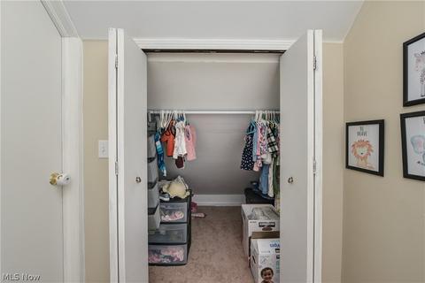 243 Mapleview Dr, Seven Hills, OH 44131 photo 29