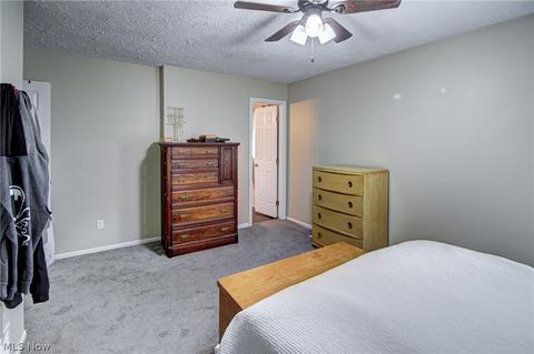 40921 Parsons Rd, Lagrange, OH 44050 photo 17