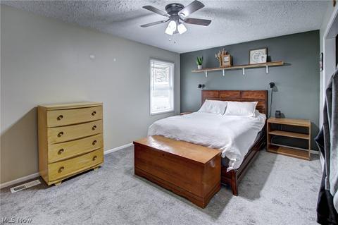 40921 Parsons Rd, Lagrange, OH 44050 photo 15