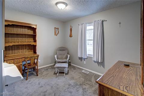 40921 Parsons Rd, Lagrange, OH 44050 photo 22