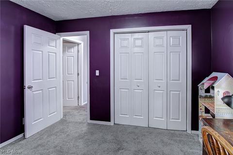 40921 Parsons Rd, Lagrange, OH 44050 photo 20