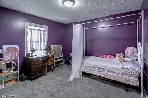 40921 Parsons Rd, Lagrange, OH 44050 photo 19