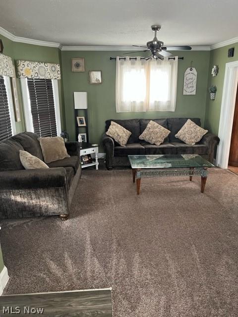 239 Roosevelt, Elyria, OH 44035 photo 8