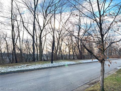 291 Lookout Ave, Akron, OH 44310 photo 5