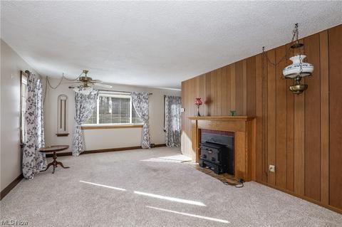 1616 Manor Ave NW, Canton, OH 44708 photo 4