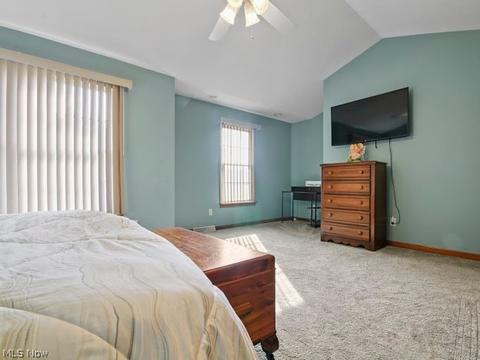 217 Clingan Rd, Struthers, OH 44471 photo 20
