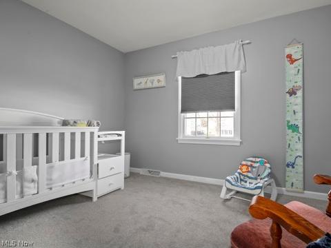 217 Clingan Rd, Struthers, OH 44471 photo 17