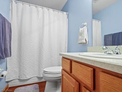 217 Clingan Rd, Struthers, OH 44471 photo 18
