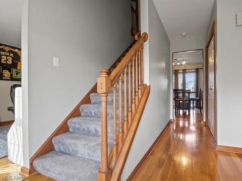 217 Clingan Rd, Struthers, OH 44471 photo 11