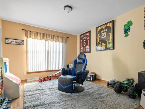 217 Clingan Rd, Struthers, OH 44471 photo 8