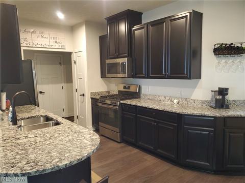 824 Robinson Dr, Lagrange, OH 44050 photo 4