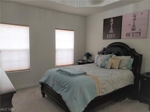 824 Robinson Dr, Lagrange, OH 44050 photo 12