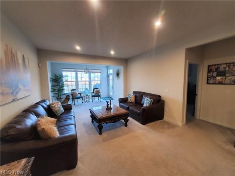 824 Robinson Dr, Lagrange, OH 44050 photo 9