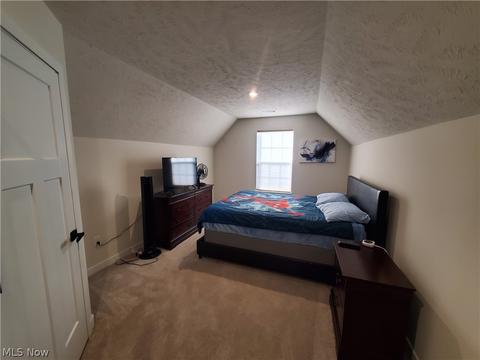 824 Robinson Dr, Lagrange, OH 44050 photo 19