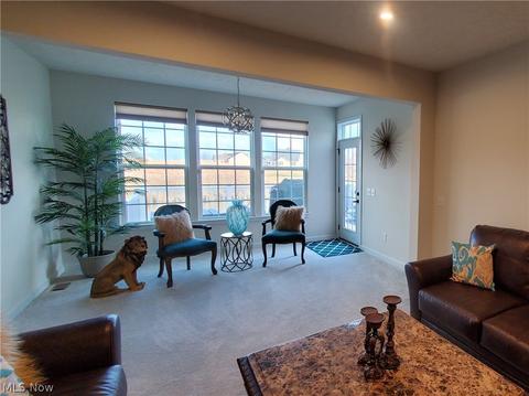 824 Robinson Dr, Lagrange, OH 44050 photo 10