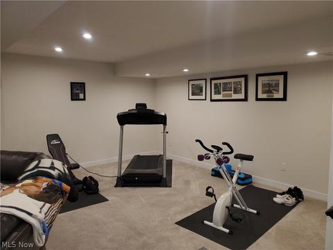 824 Robinson Dr, Lagrange, OH 44050 photo 25