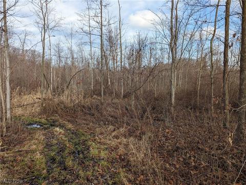 4167 Beck Rd, Ashtabula, OH 44004 photo 7