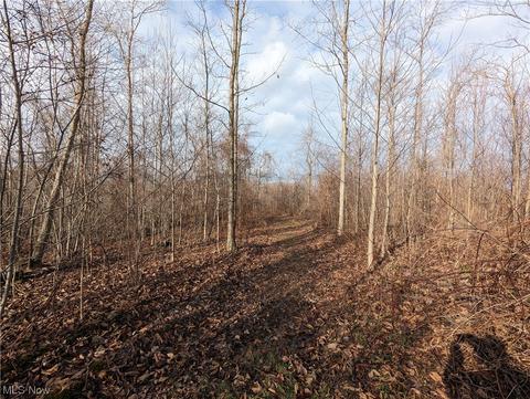 4167 Beck Rd, Ashtabula, OH 44004 photo 20