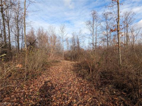 4167 Beck Rd, Ashtabula, OH 44004 photo 9