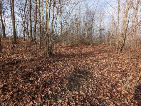 4167 Beck Rd, Ashtabula, OH 44004 photo 8