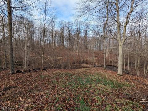 4167 Beck Rd, Ashtabula, OH 44004 photo 4